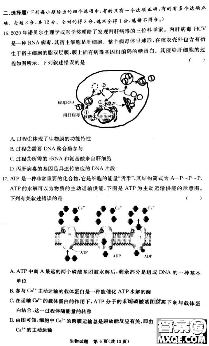 炎德英才大聯(lián)考聯(lián)合體2020年高三12月聯(lián)考生物試題及答案