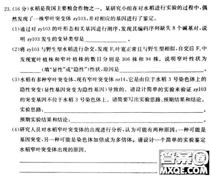 炎德英才大聯(lián)考聯(lián)合體2020年高三12月聯(lián)考生物試題及答案