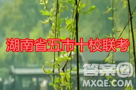 湖南省五市十校2020年下學(xué)期高三年級第二次大聯(lián)考地理試題及答案