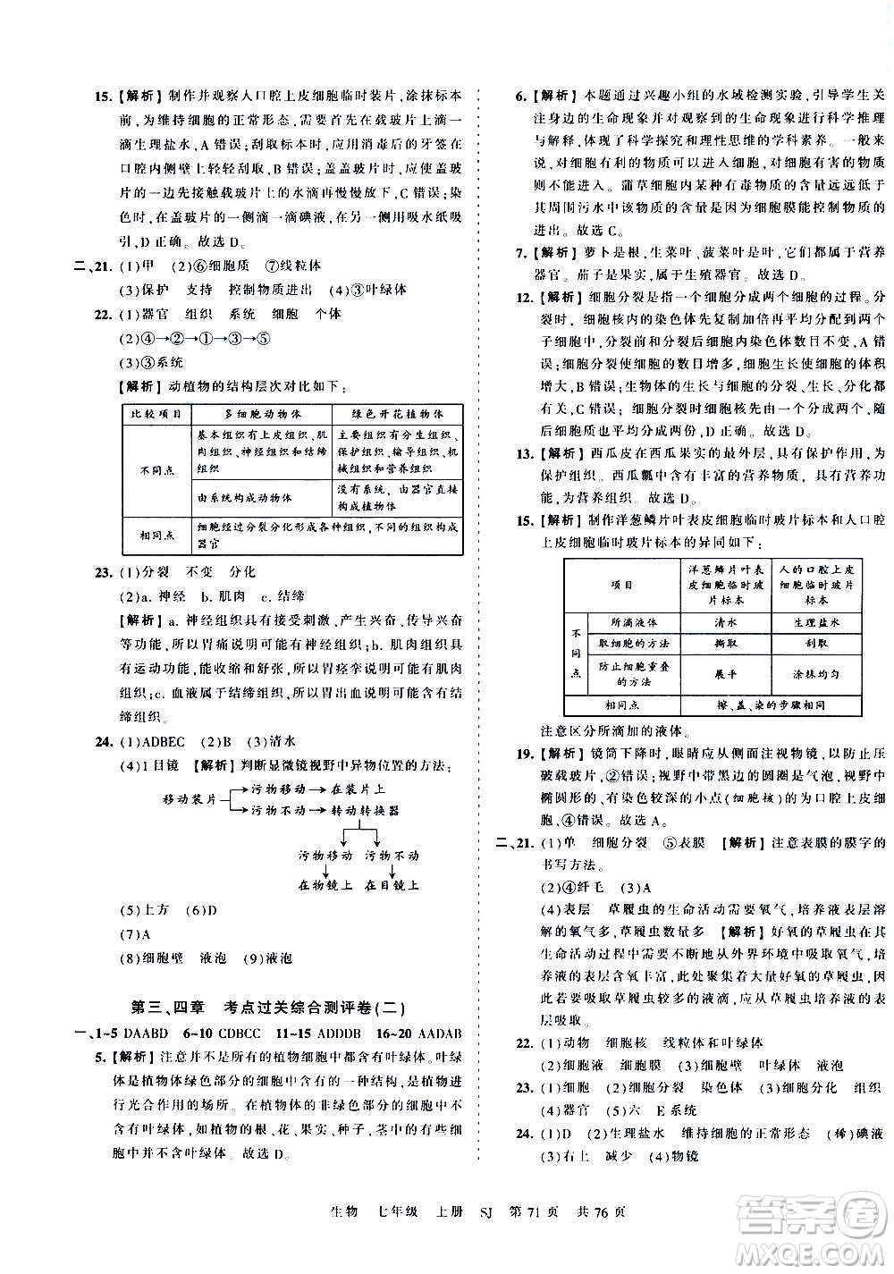 江西人民出版社2020秋王朝霞考點(diǎn)梳理時(shí)習(xí)卷生物七年級(jí)上冊(cè)SJ蘇教版答案