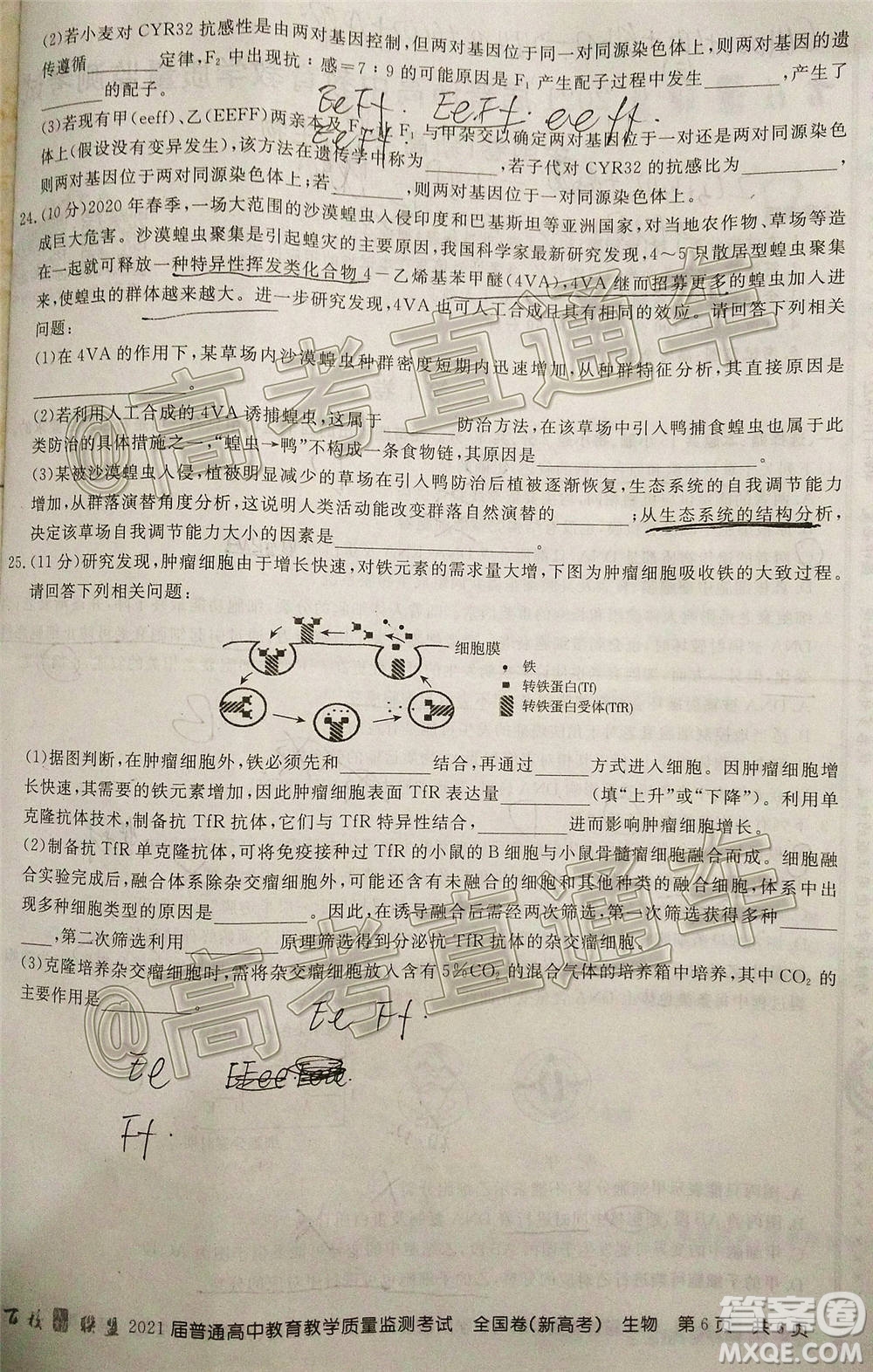 2021屆百校聯(lián)盟12月聯(lián)考全國(guó)卷新高考生物試題及答案