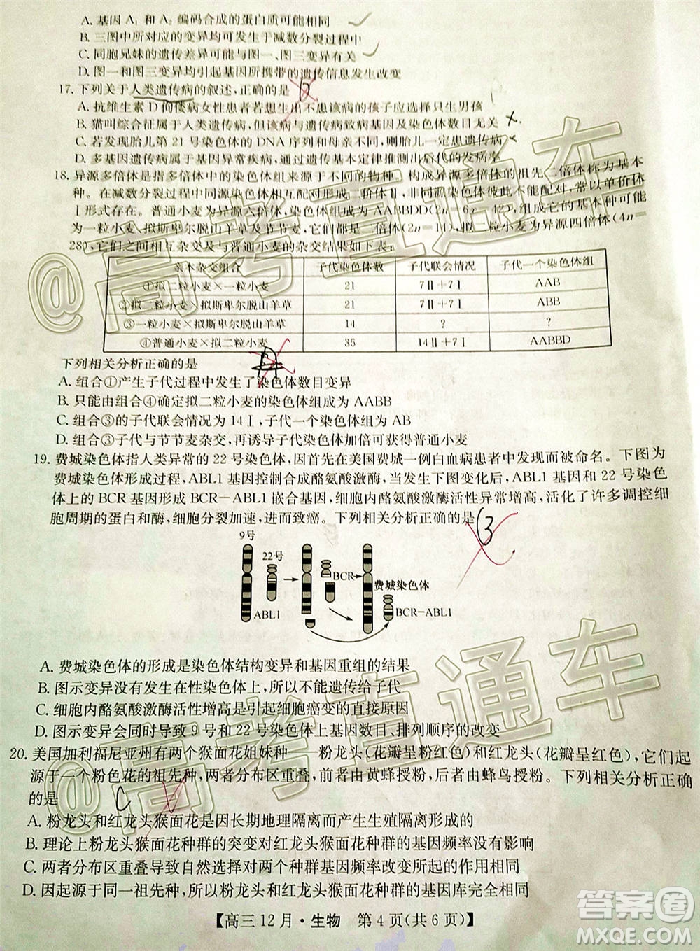 2021屆九師聯(lián)盟高三教學(xué)質(zhì)量監(jiān)測12月聯(lián)考生物試題及答案