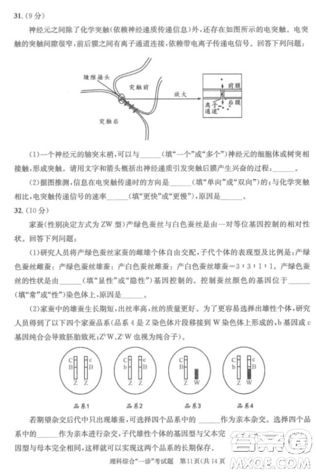 成都市2018級(jí)高中畢業(yè)班第一次診斷性檢測(cè)理科綜合試題及答案