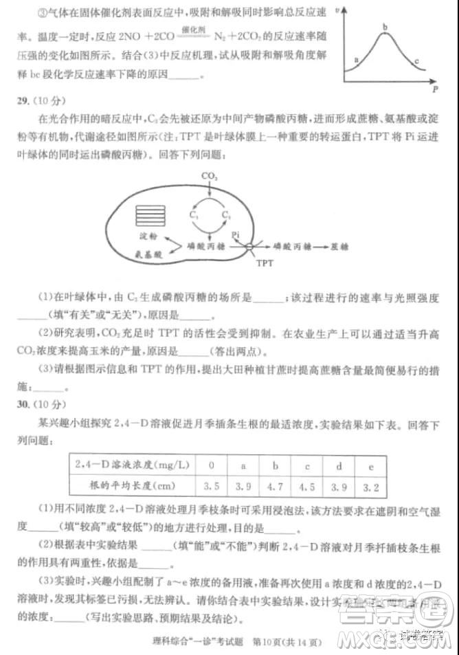 成都市2018級(jí)高中畢業(yè)班第一次診斷性檢測(cè)理科綜合試題及答案