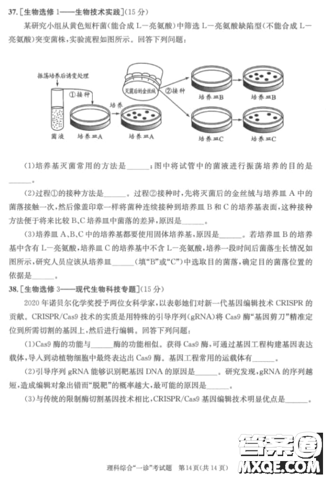 成都市2018級(jí)高中畢業(yè)班第一次診斷性檢測(cè)理科綜合試題及答案