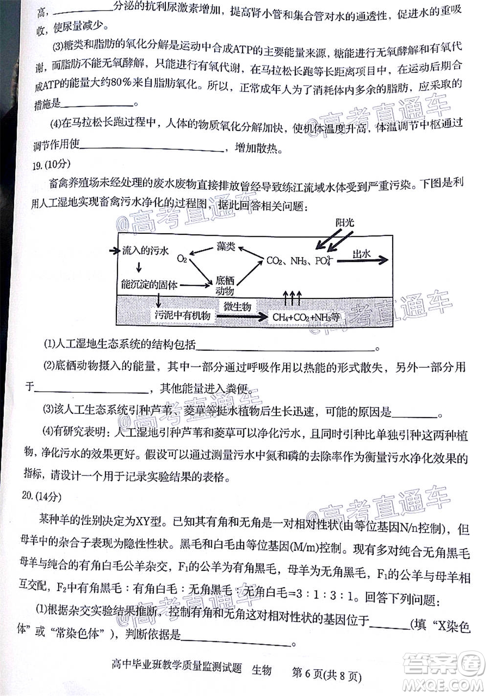 汕頭市2020-2021學(xué)年度普通高中畢業(yè)班教學(xué)質(zhì)量監(jiān)測(cè)生物試題及答案