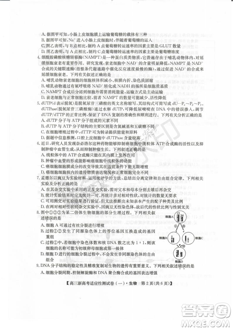 2021屆八省聯(lián)盟湖北新高考適應(yīng)性測試卷一生物試題及答案