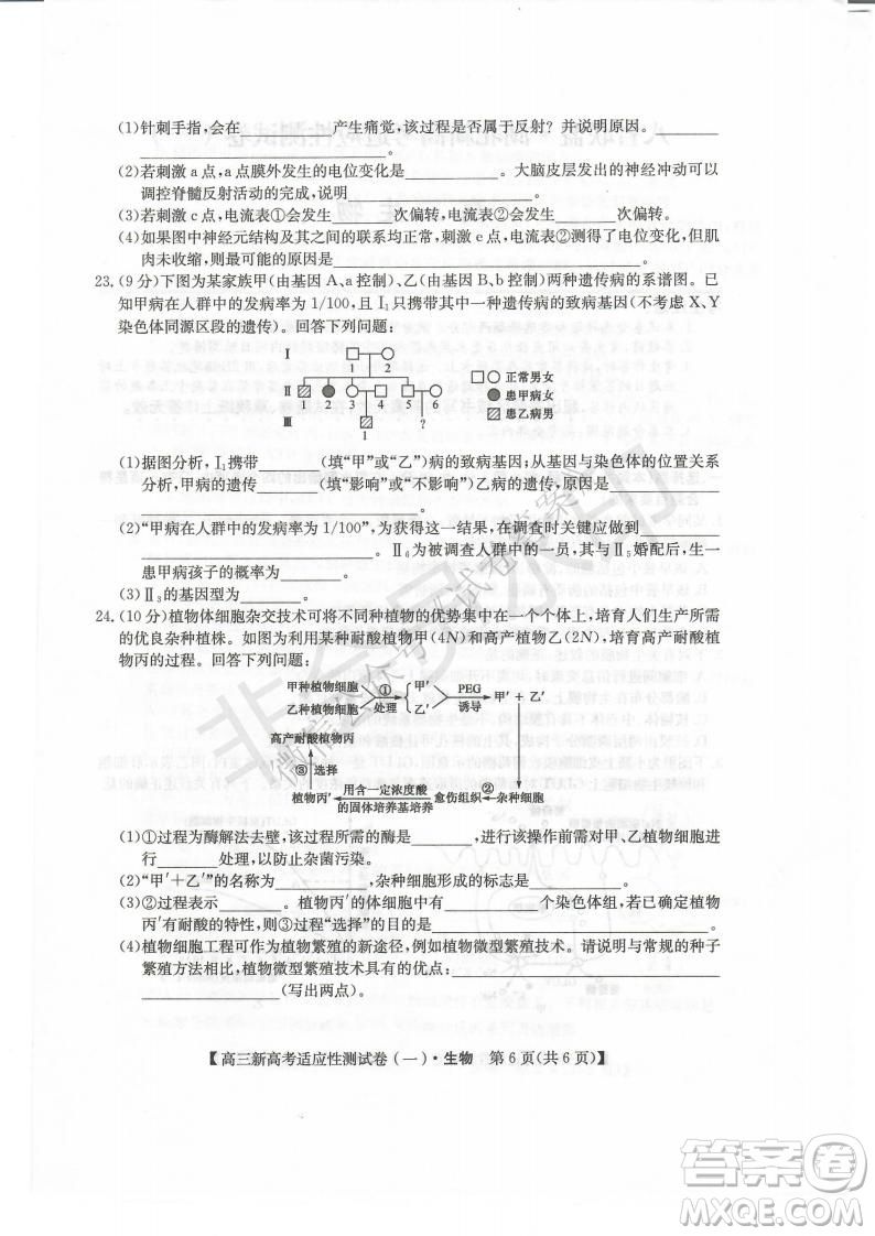 2021屆八省聯(lián)盟湖北新高考適應(yīng)性測試卷一生物試題及答案