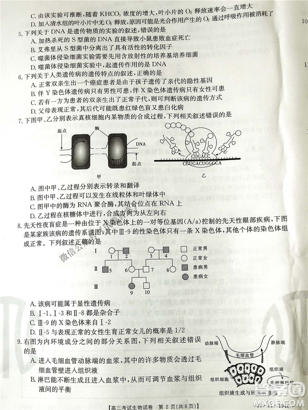 2021屆遼寧金太陽高三1月聯(lián)考生物試題及答案