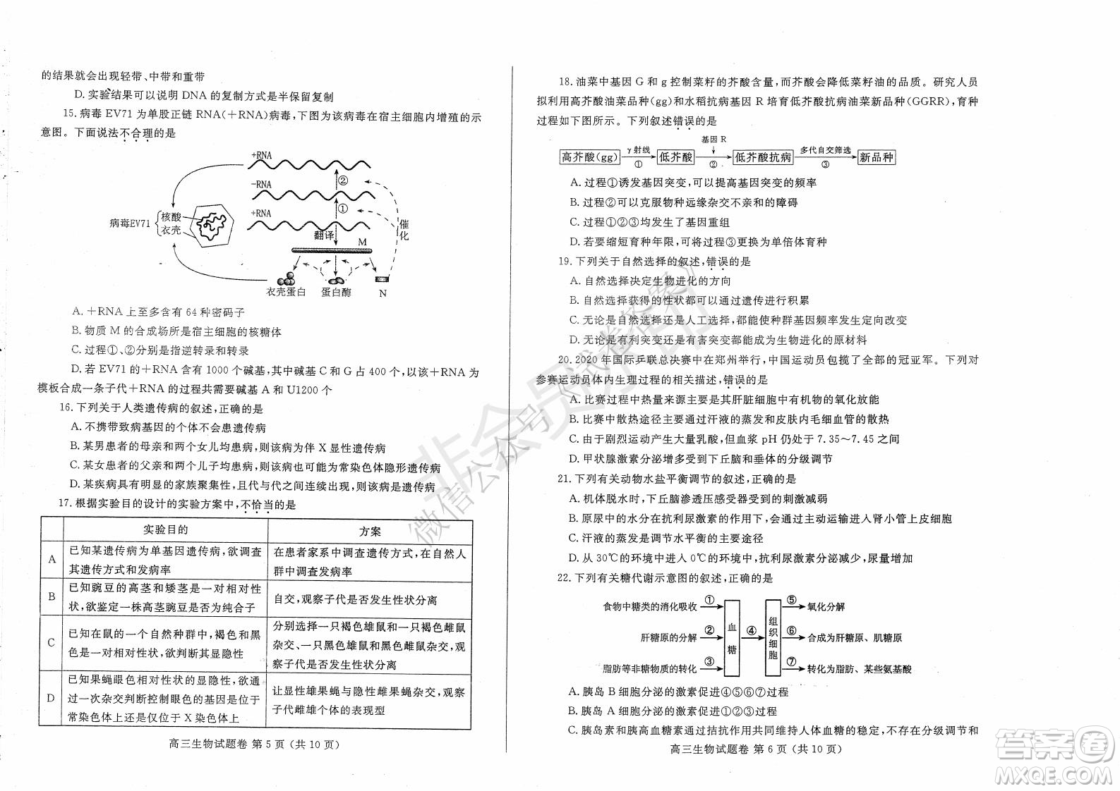 鄭州2021年高中畢業(yè)年級第一次質(zhì)量預(yù)測生物試題及答案