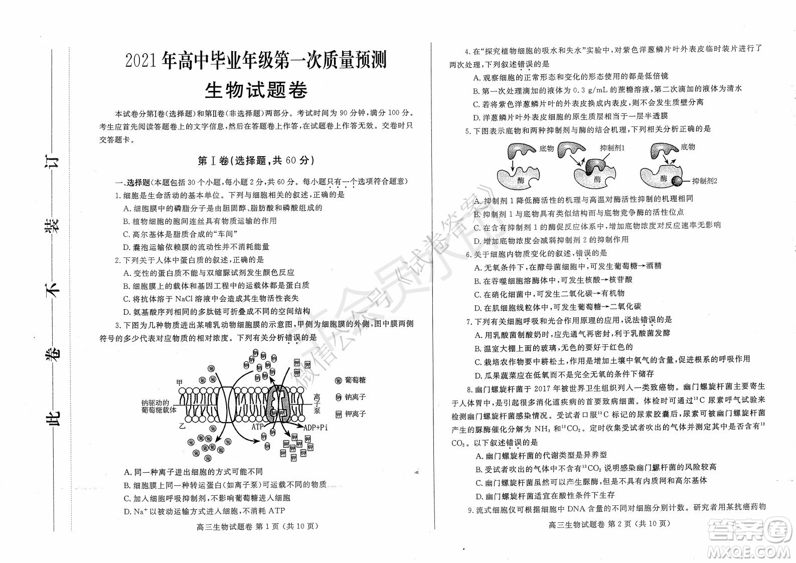 鄭州2021年高中畢業(yè)年級第一次質(zhì)量預(yù)測生物試題及答案