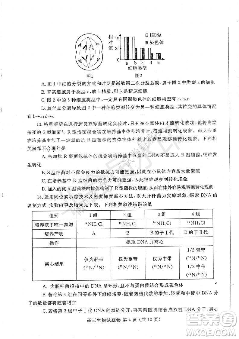 鄭州2021年高中畢業(yè)年級第一次質(zhì)量預(yù)測生物試題及答案