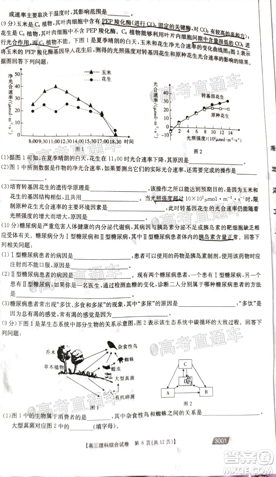 2021金太陽百萬聯(lián)考全國一卷1月聯(lián)考理科綜合試題及答案