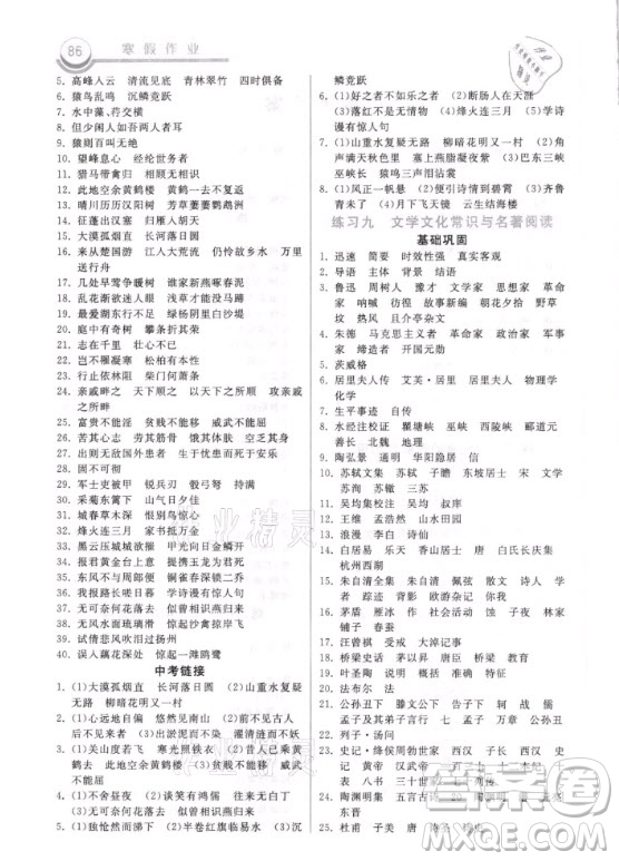 河北美術出版社2021寒假作業(yè)語文八年級人教版答案