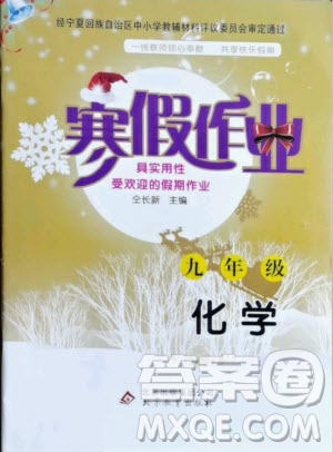 北京教育出版社2021寒假作業(yè)化學九年級人教版答案