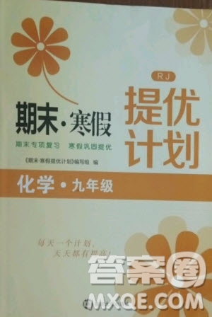 南京大學(xué)出版社2021期末寒假提優(yōu)計(jì)劃化學(xué)九年級人教版答案