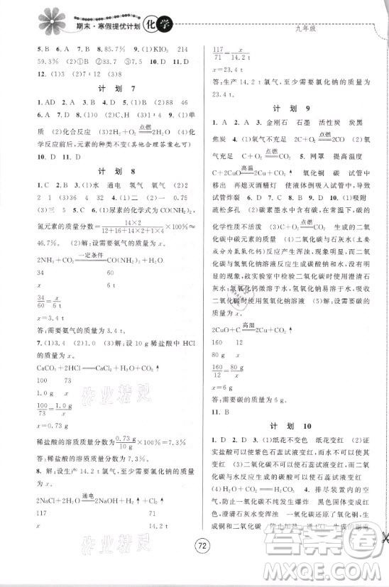 南京大學(xué)出版社2021期末寒假提優(yōu)計(jì)劃化學(xué)九年級人教版答案