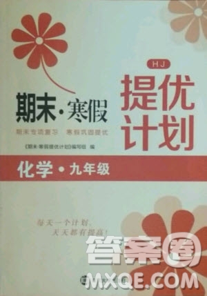 南京大學出版社2021期末寒假提優(yōu)計劃化學九年級滬教版答案