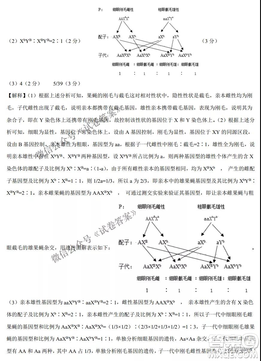 2021年1月八省聯(lián)考考前猜題卷生物試題及答案