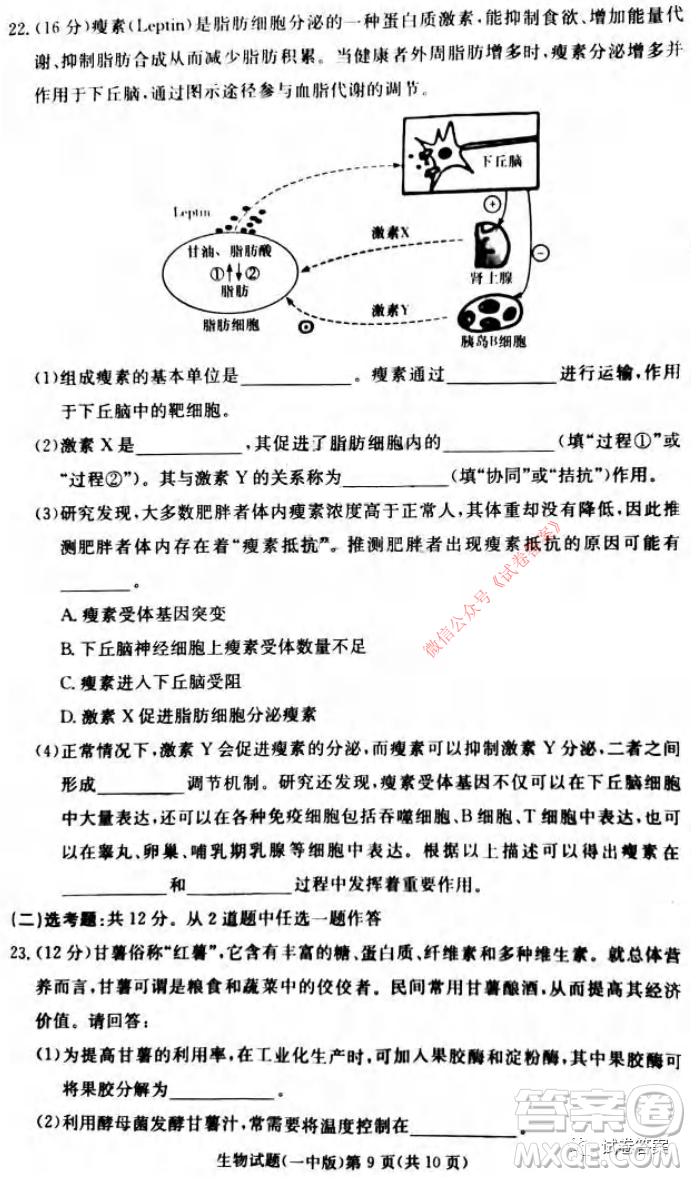 炎德英才大聯(lián)考長沙市一中2021屆高三月考試卷六生物試題及答案