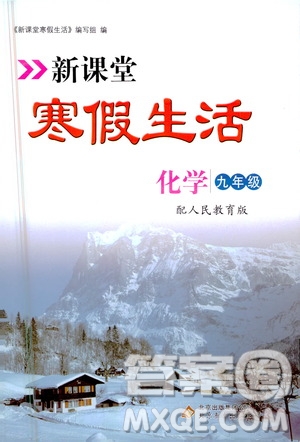 北京教育出版社2021新課堂寒假生活九年級(jí)化學(xué)人民教育版答案