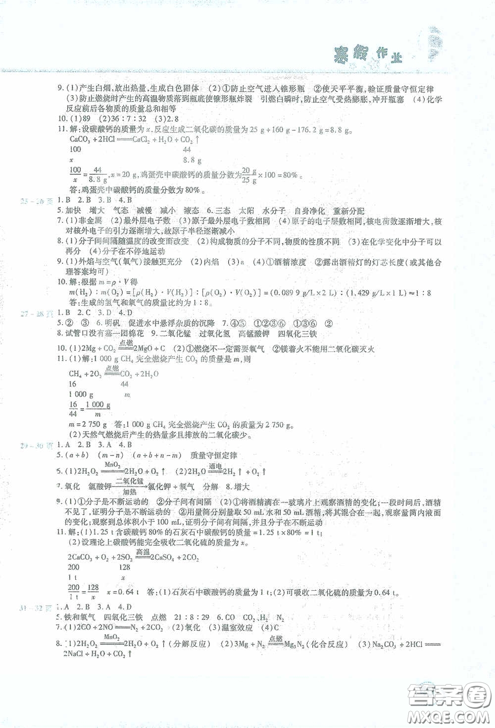 2021豫新銳寒假作業(yè)假期園地九年級化學(xué)答案