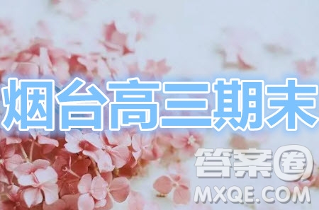 煙臺2020-2021學(xué)年度第一學(xué)期期末學(xué)業(yè)水平診斷高三化學(xué)試題及答案