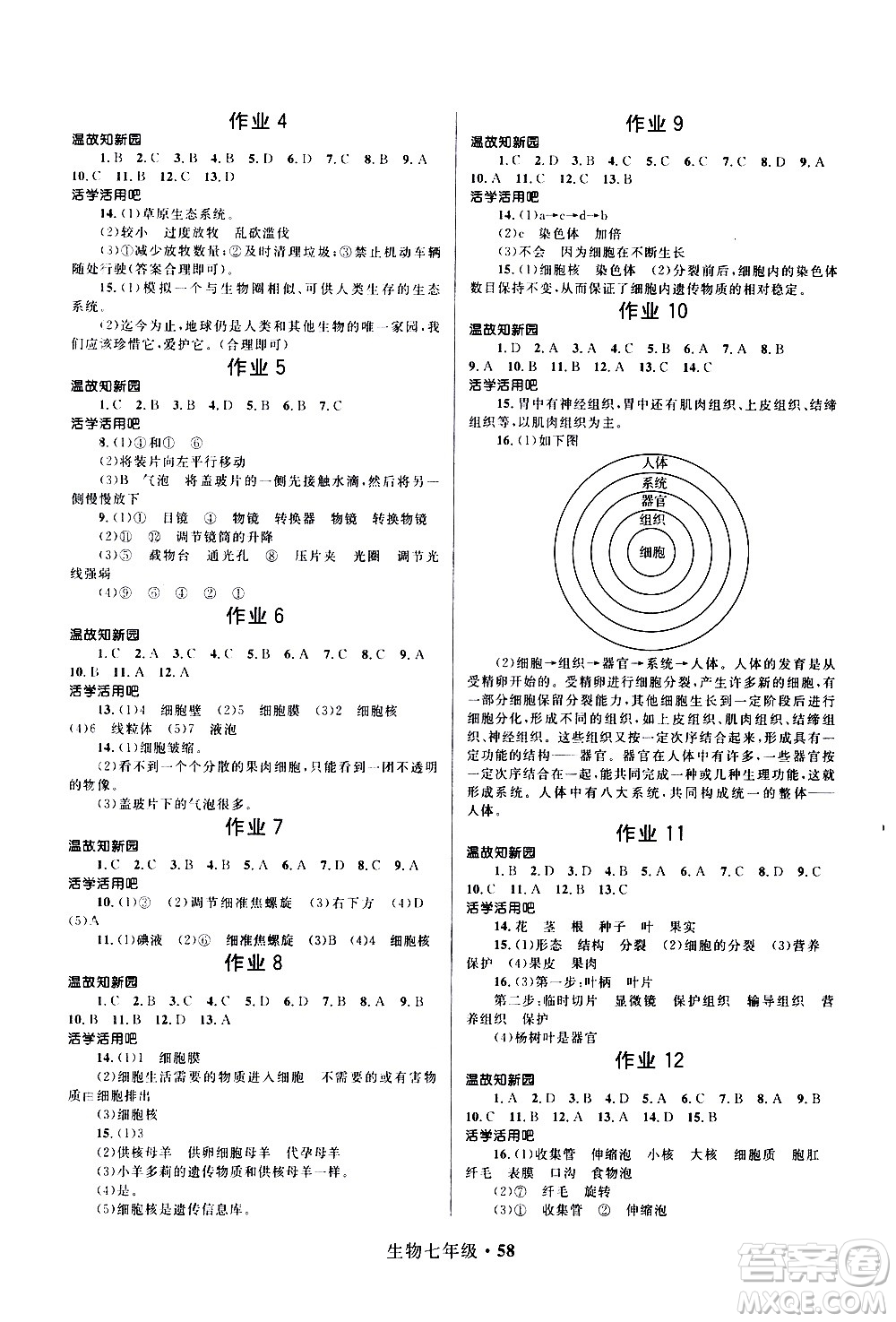 河北少年兒童出版社2021贏在起跑線中學(xué)生快樂寒假七年級(jí)生物人教版答案