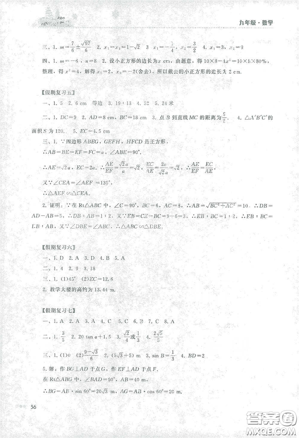 湖南教育出版社2021寒假作業(yè)九年級(jí)數(shù)學(xué)答案