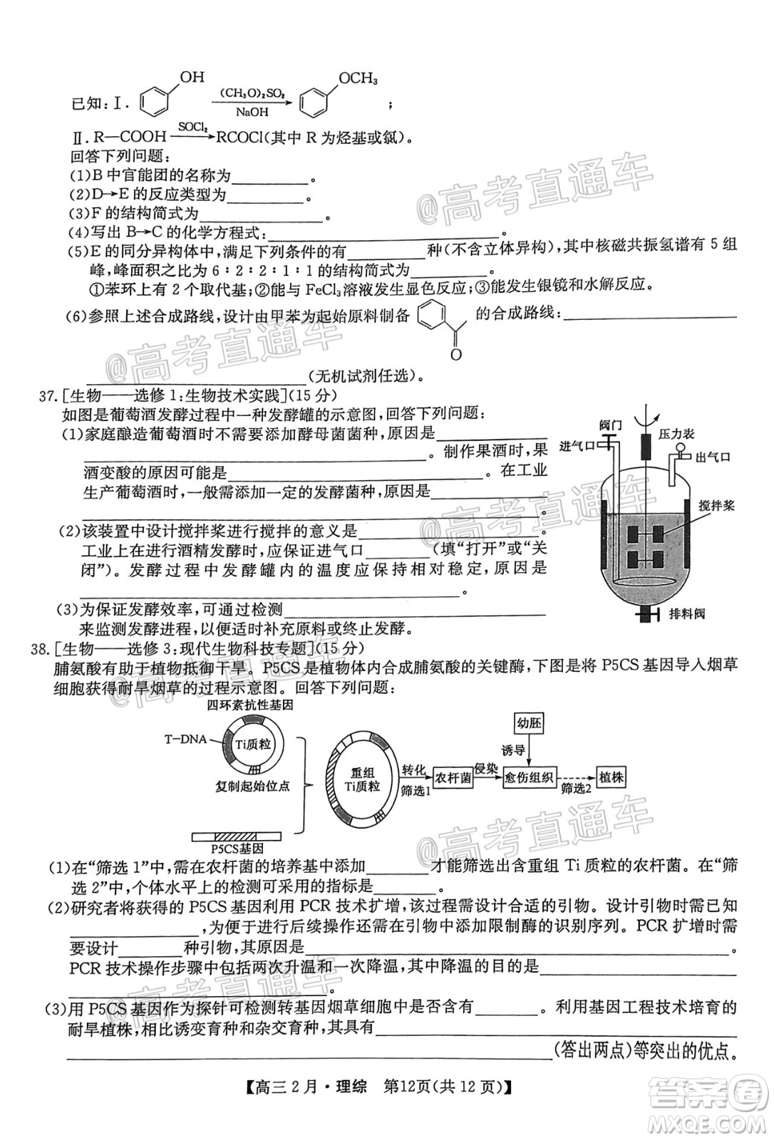 九師聯(lián)盟2020-2021學(xué)年高三2月質(zhì)量檢測理科綜合試題及答案