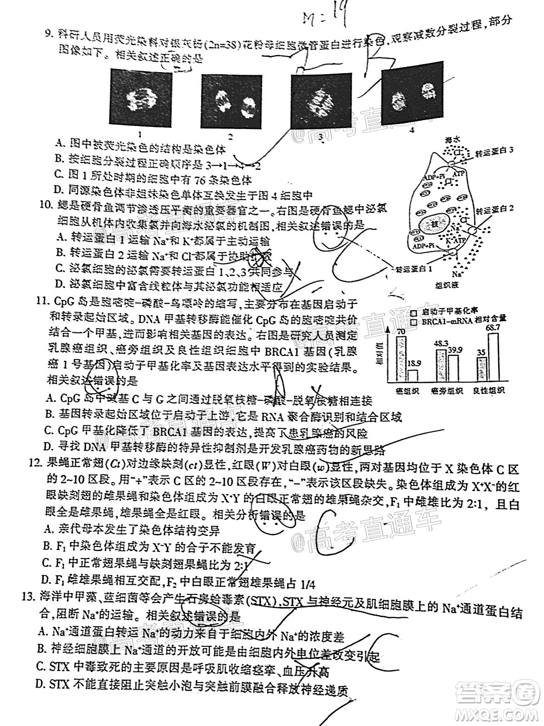 2021屆南通一模生物試題及答案