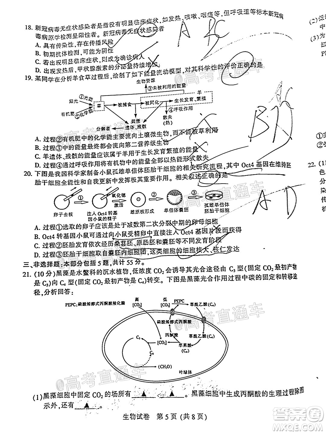 2021屆南通一模生物試題及答案