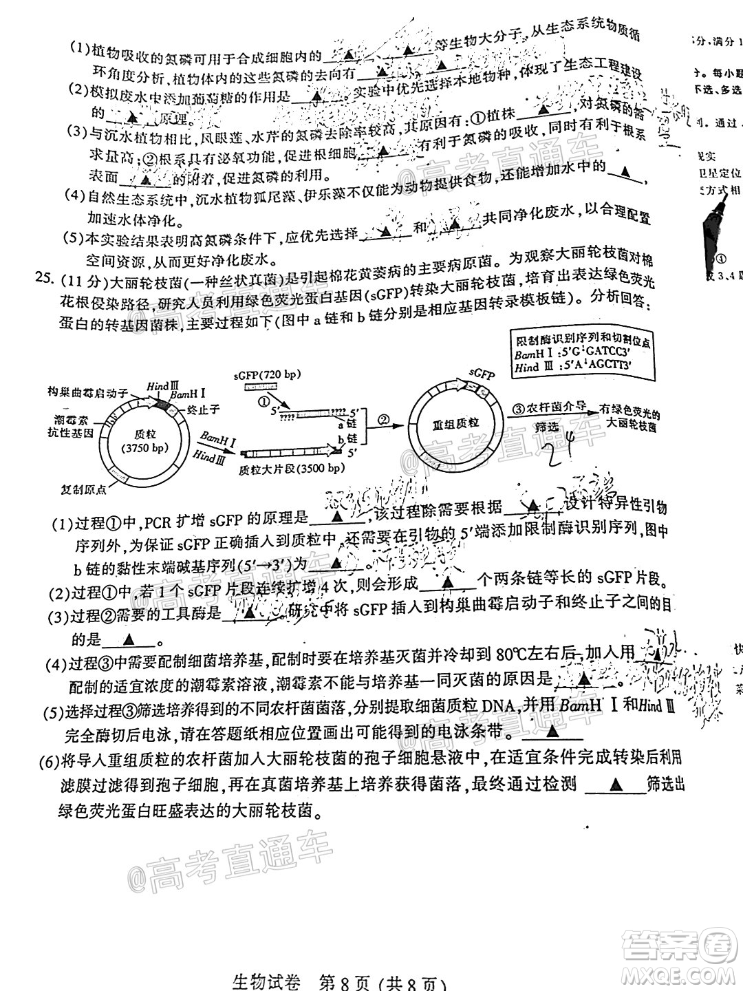 2021屆南通一模生物試題及答案