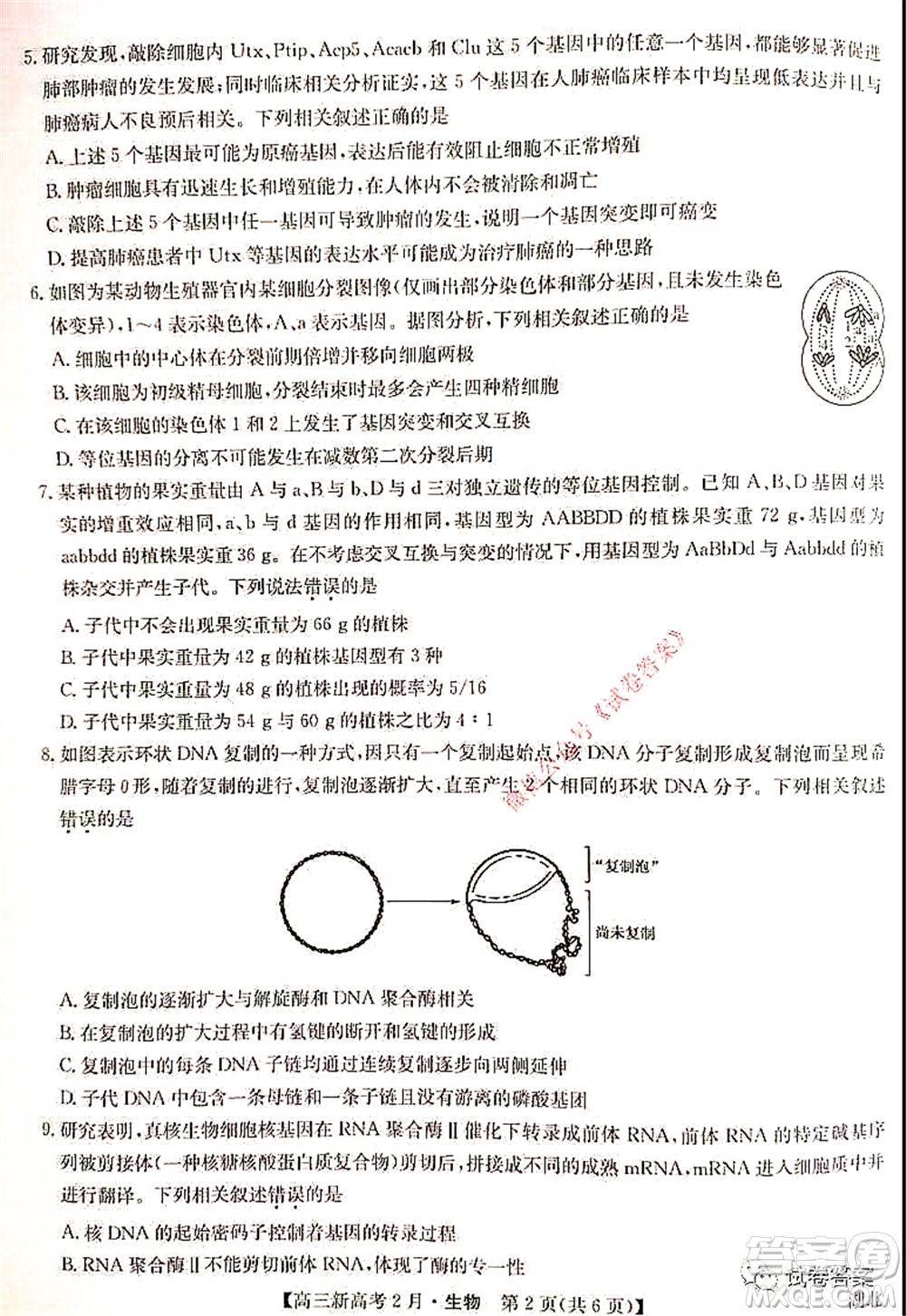 2021湖北九師聯(lián)盟高三新高考2月考試生物試題及答案