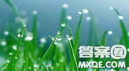 快樂的春雨作文500字 關(guān)于快樂的春雨的作文500字