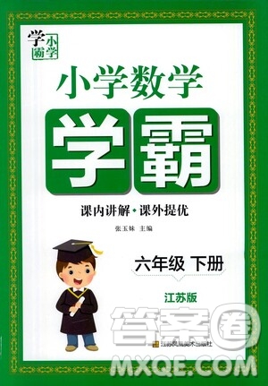 江蘇鳳凰美術(shù)出版社2021小學(xué)數(shù)學(xué)學(xué)霸六年級(jí)下冊(cè)江蘇版答案