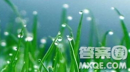 描寫下雨的作文600字 關(guān)于寫下雨的作文600字最新