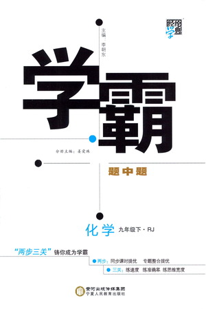 寧夏人民教育出版社2021學(xué)霸題中題化學(xué)九年級(jí)下冊(cè)人教版答案