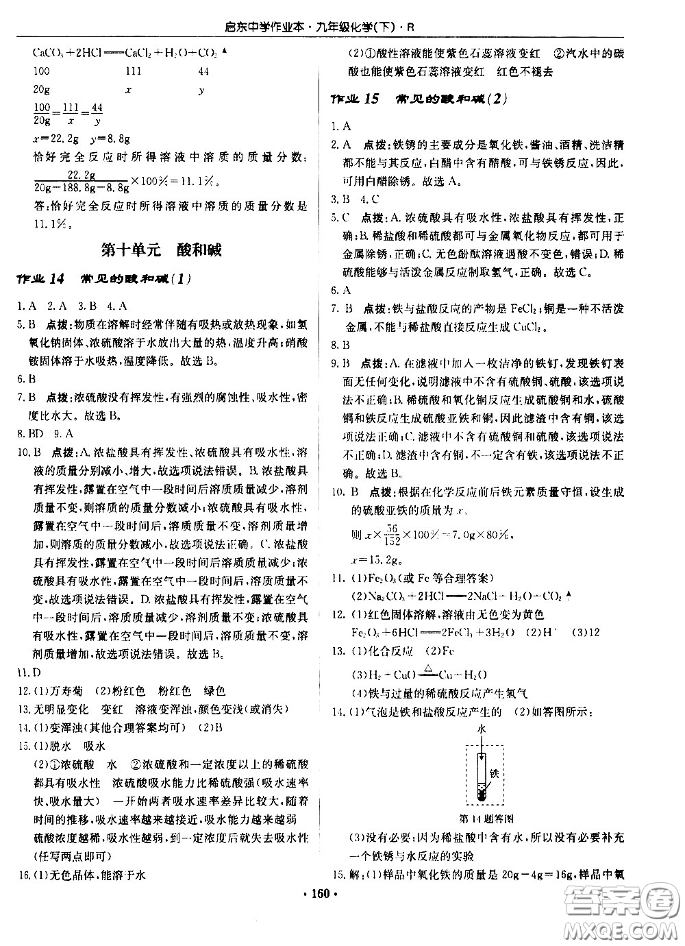 龍門書局2021啟東中學(xué)作業(yè)本九年級化學(xué)下冊R人教版答案