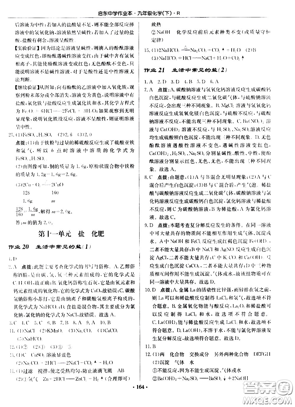 龍門書局2021啟東中學(xué)作業(yè)本九年級化學(xué)下冊R人教版答案