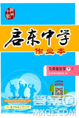 龍門書局2021啟東中學(xué)作業(yè)本九年級化學(xué)下冊R人教版答案