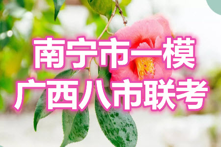 南寧市2021屆高中畢業(yè)班第一次適應(yīng)性測(cè)試文科數(shù)學(xué)試卷及答案