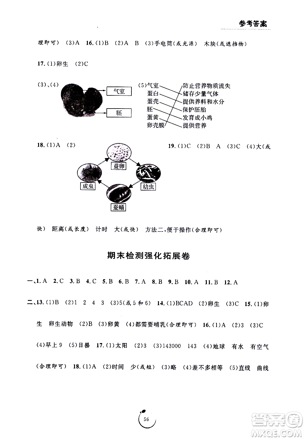 寧波出版社2021浙江好卷科學(xué)三年級下冊JK教科版答案