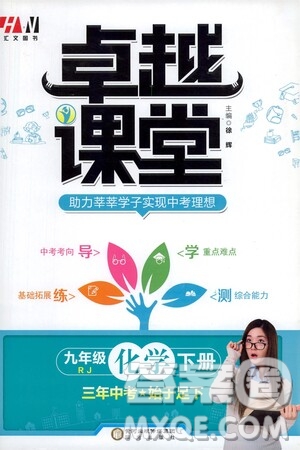 陽(yáng)光出版社2021匯文圖書卓越課堂九年級(jí)化學(xué)下冊(cè)人教版答案