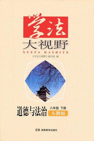 湖南教育出版社2021學(xué)法大視野道德與法治八年級(jí)下冊(cè)人教版答案