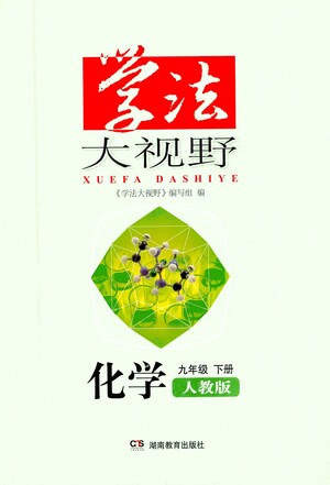 湖南教育出版社2021學(xué)法大視野化學(xué)九年級(jí)下冊(cè)人教版答案