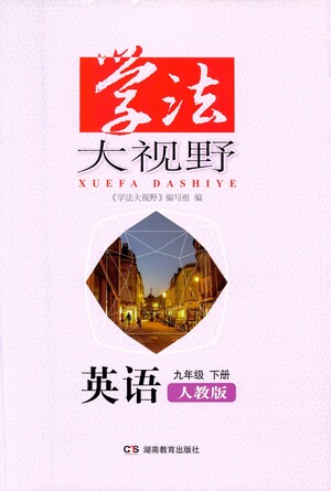 湖南教育出版社2021學法大視野英語九年級下冊人教版答案