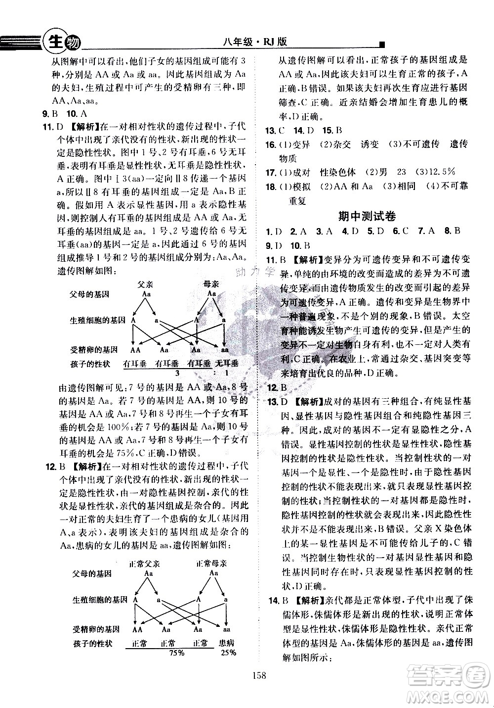 江西美術(shù)出版社2021學(xué)海風(fēng)暴生物八年級(jí)下冊(cè)RJ人教版答案