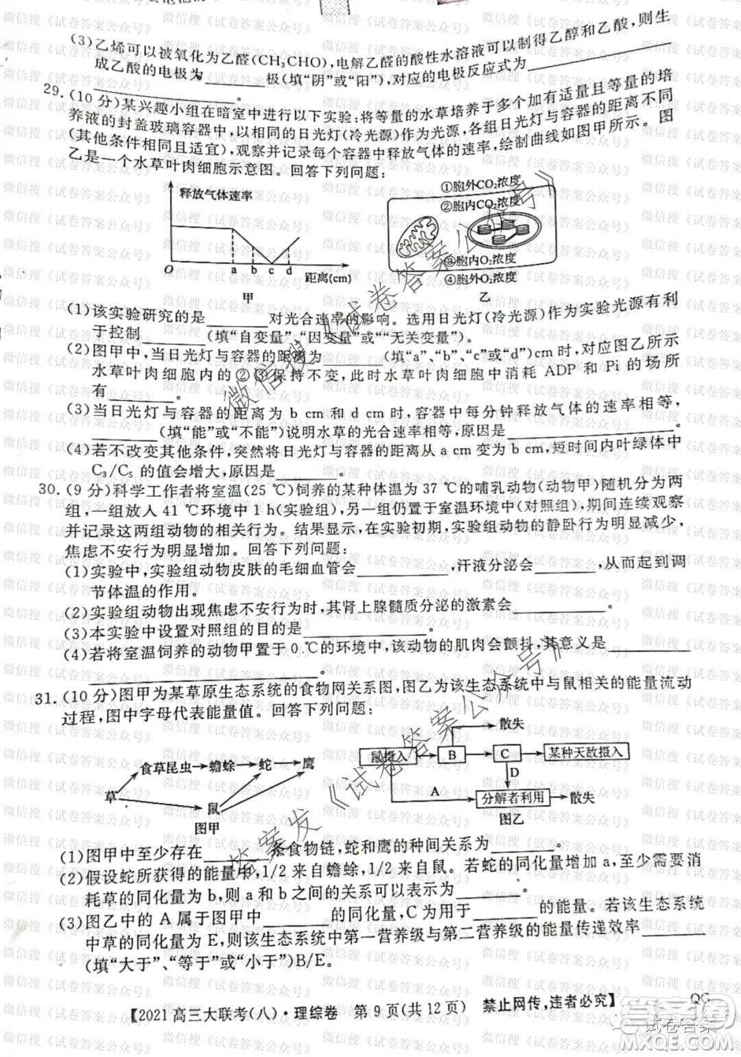 百校大聯(lián)考全國(guó)百所名校2021屆高三大聯(lián)考調(diào)研試卷八理科綜合試題及答案