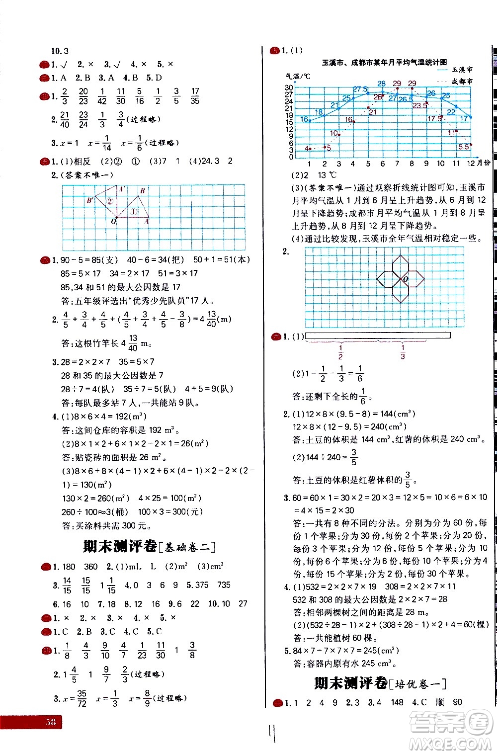 延邊大學出版社2021春陽光計劃小學試卷數(shù)學五年級下冊RJ人教版答案